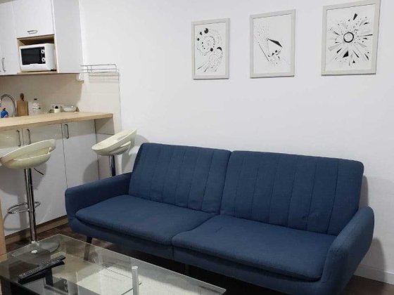 Оренда  1 квартира Київ, Ю. Пасхаліна 17 Киев