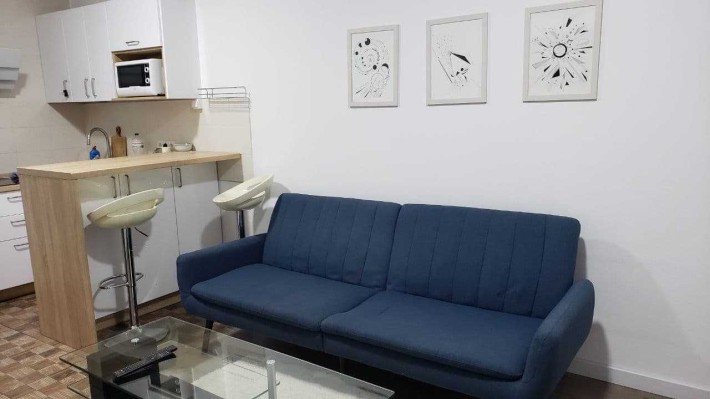 Оренда  1 квартира Київ, Ю. Пасхаліна 17 - фото 1