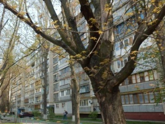 Здам 2-кімн метро Мінська,Героїв Дніпра Дмитра Павличка (Рокосовс Киев