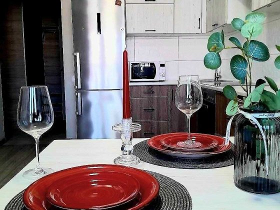 Здам 1к квартиру з великою кухнею 17 кв.м. Патріотика Гмирі 20 Асканія Генератор. Євродвушка Киев