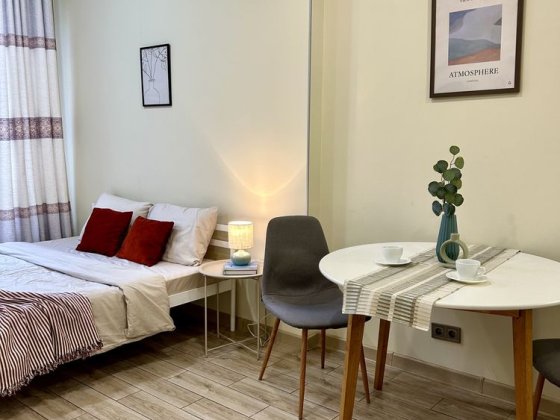 Власник. Затишна студія в оренду Pet-friendly Деміївська Київ