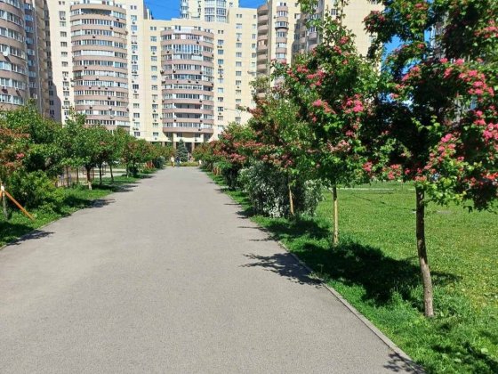 Здаю в оренду 2х.кім.кв. Київ ,жк.Парковий, бульвар Миколи Руденка 14Б Киев