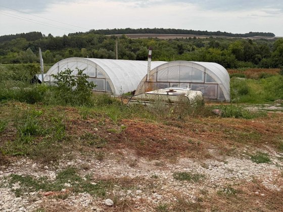 Здам в оренду теплиці Кам'янець-Подільський