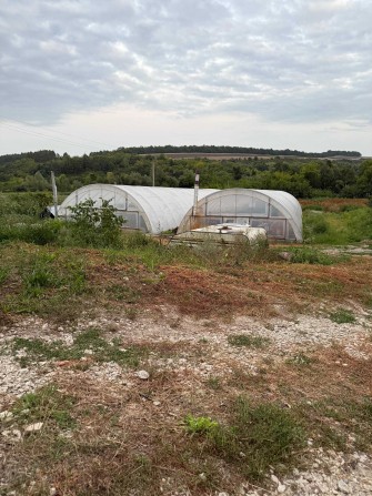 Здам в оренду теплиці - фото 1