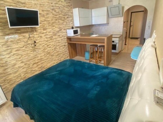 Здається в оренду 1-кімнатна квартира, вул. Сімʼї Стешенків, 9 Київ