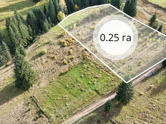 Земельна ділянка в Яблуниці 0.25 га Яремче