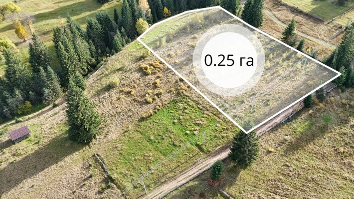 Земельна ділянка в Яблуниці 0.25 га - фото 1