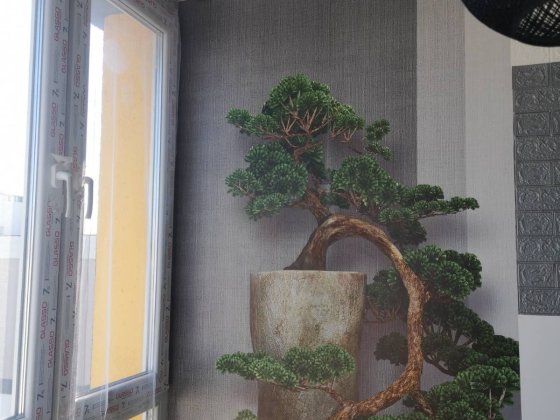 Сдаётся квартира Киев