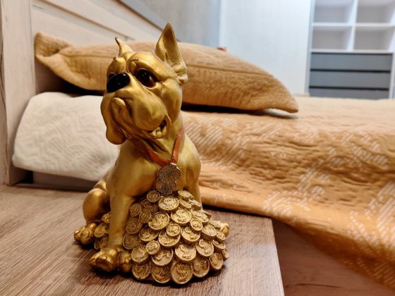 2-кімнатна квартира в Шевченківському районі, Коперника 3