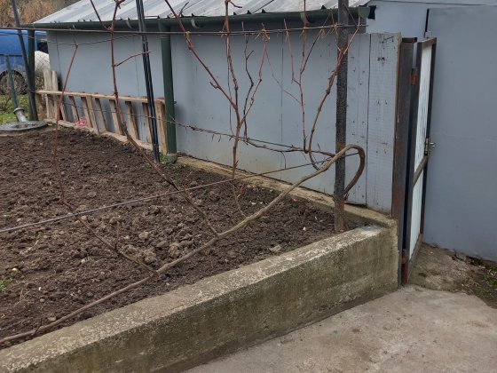 Продам гараж без місця. Чернівці