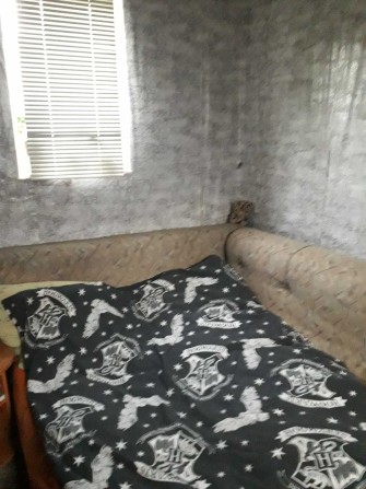 Здам кімнату в гуртожитку - фото 1