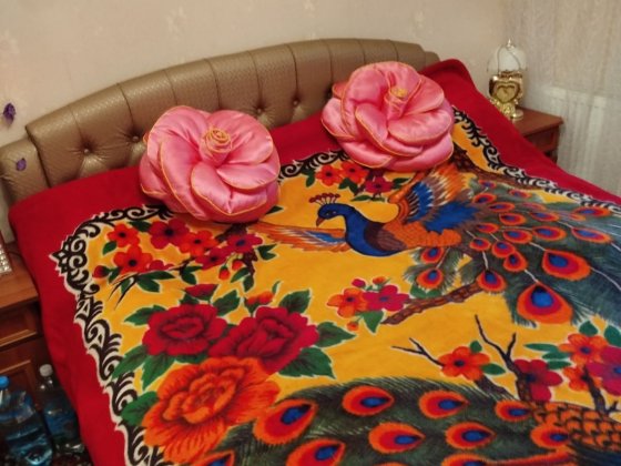 Здам кімнату проживання з власницею Кропивницкий