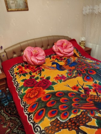 Здам кімнату проживання з власницею - фото 1