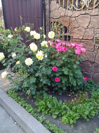 Здам кімнату хлопцю в приватному єлітному будинку. Від власника. - фото 1