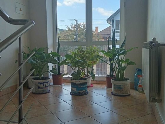 Здам ліжко-місце в гуртожитку напроти ЖК Софія Софиевская Борщаговка