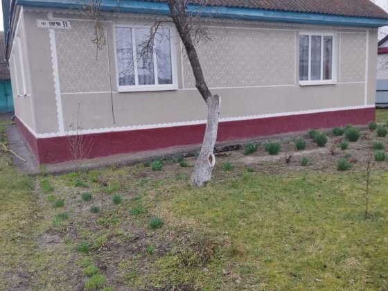 Здам в оренду дім Нетешин