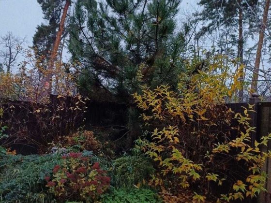 Оренда таунхауса в лісовій частині Бучі. Вартість 900 евро. Буча