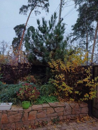 Оренда таунхауса в лісовій частині Бучі. Вартість 900 евро. - фото 1