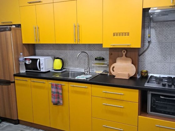 Фурманова Частина будинку біля зупинки можна з котом Полтава