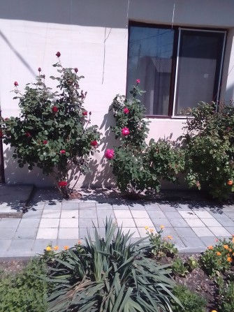 Сдаю дом у реки 5 причал - фото 1