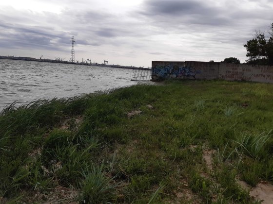 Здам, продам дачу