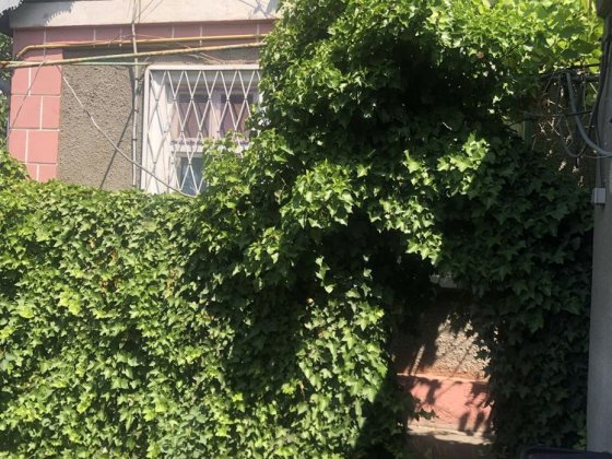 Сдам Дом Львовская Одесса