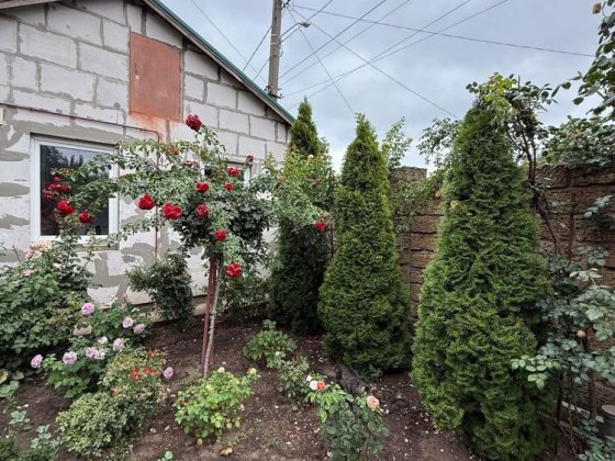 Сдаю дрм ул Почтовая /маловского Одеса