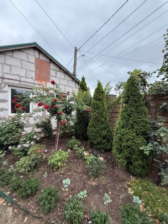 Сдаю дрм ул Почтовая /маловского - фото 1