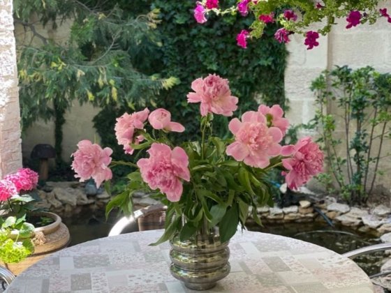 Оренда НОВОГО будинку біля моря  Костанді | 2 спальні | Тераса Одеса