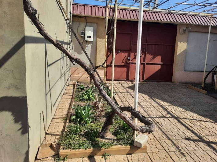 Сдаю Слободка ул.Коровицкого, Домик 1-комн.- 7000гр - фото 1