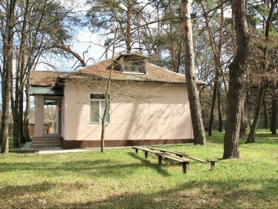 Оренда будинку у лісі с. Орловщина Орлівщина