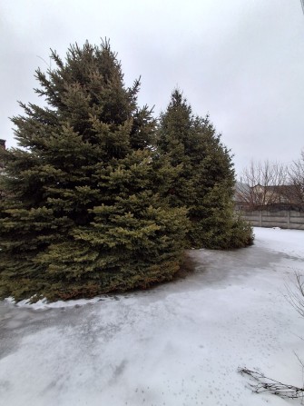 Сдам большой дом - фото 1