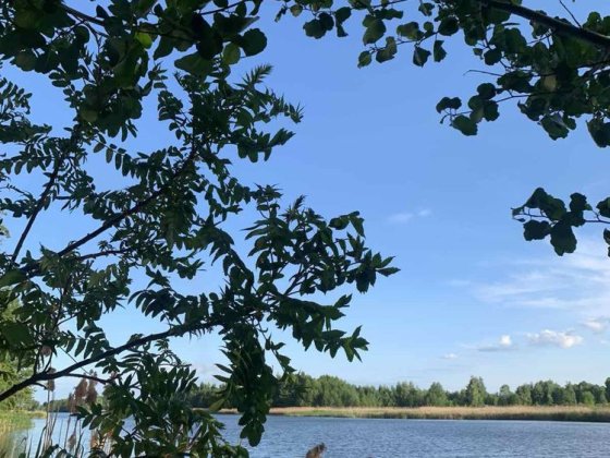 Здам в оренду заміський будинок біля річки Дніпро, Велика дамба Козин Козин