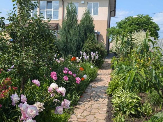 Оренда будинку у с Дмитрівка Дмитровка