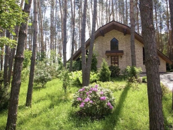 Казковий будинок під оренду Колонщина