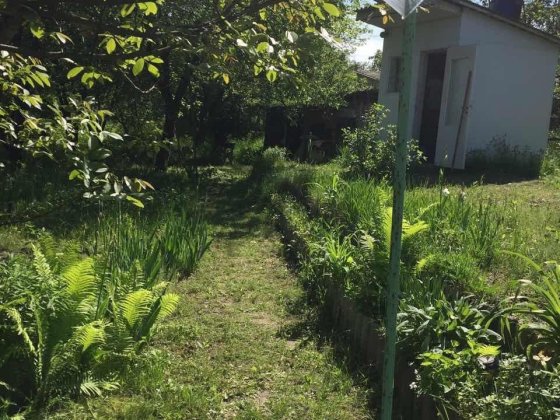 Дача під Києвом в оренду Музычи