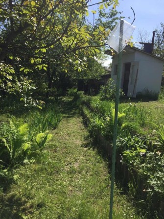 Дача під Києвом в оренду - фото 1