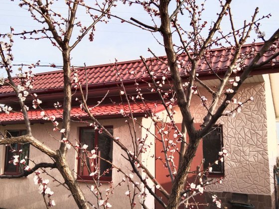 Дом дача со всеми удобствами в Осещине Осещина