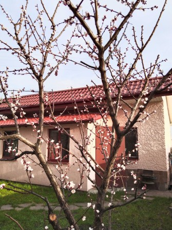 Дом дача со всеми удобствами в Осещине - фото 1