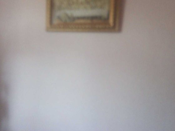 Сдаю дом.Большой дом с огородом Скала-Подільська