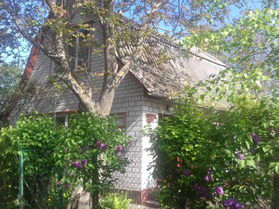 Оренда дачі. Черкаси. Біля Дніпра Благодатне