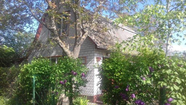 Оренда дачі. Черкаси. Біля Дніпра - фото 1