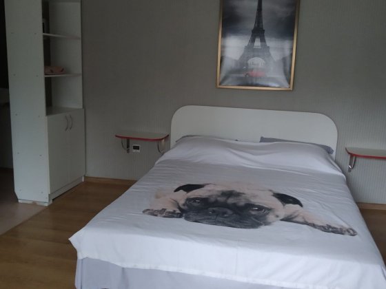 Сдам 1к квартиру на Черёмушках Кам'янське