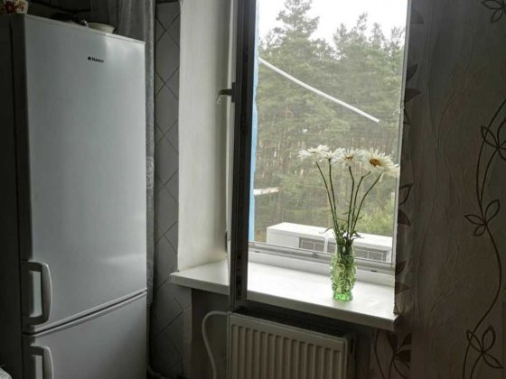 Оренда 3 кімнатної квартири з кондиціонером біля лісу Власівка Власовка