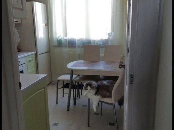 Оренда 3к У центрі Паркова 8 можна 3 - 5 чоловік Краматорськ