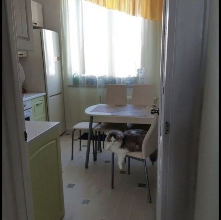 Оренда 3к У центрі Паркова 8 можна 3 - 5 чоловік - фото 1