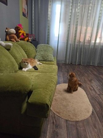 Здам 2 кімнатну квартиру для родини на вул.Олімпійська . Власник! - фото 1