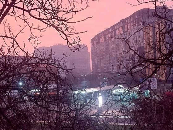 Сдам свою одно комнатную квартиру Крыжановка