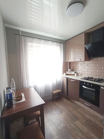Оренда 1но кімнатної квартири Клініка-Піонерська, вул Січневий прорив - фото 1