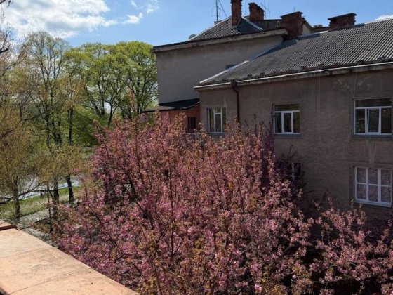 Оренда 3 ох кім на  набережній ‼️ Ужгород